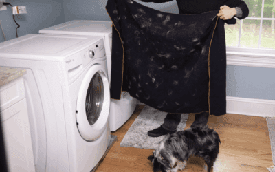 Four Easy Hacks to Remove Pet Hair from Your Laundry